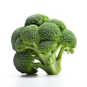 Broccoli on a white background. 