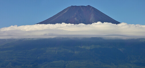Fototapeta premium 道志山塊の杓子山山頂より望む夏の富士山 