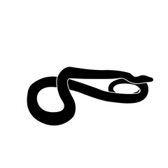 Snake vector png