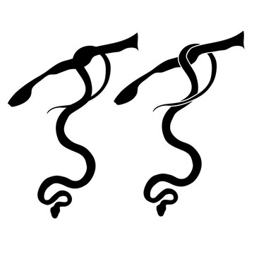 Snake vector png