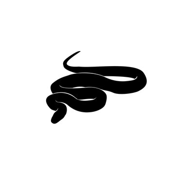 Snake vector png