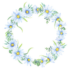 Obraz na płótnie Canvas watercolor wreath with chamomile flowers. Floral round border of daisies. 