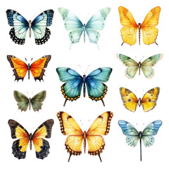 Butterflies. 2 Separated elements. PNG. AI