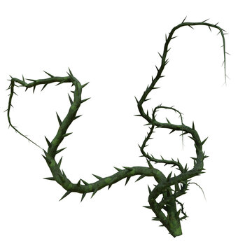 A 3d rendered illustration of a cluster of green vines with thorns