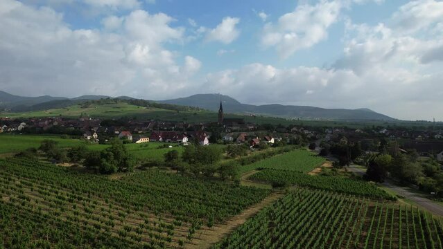 Aerial view above the beautiful French village of Bergheim and its surrounding vineyards - Alsace, France