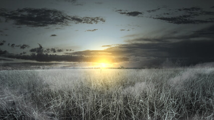 Scary Halloween background