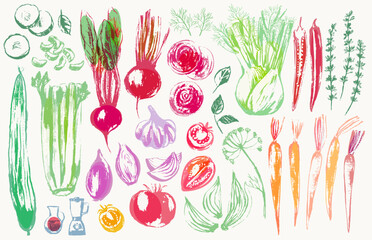 Hand drawn sketch of vegetables