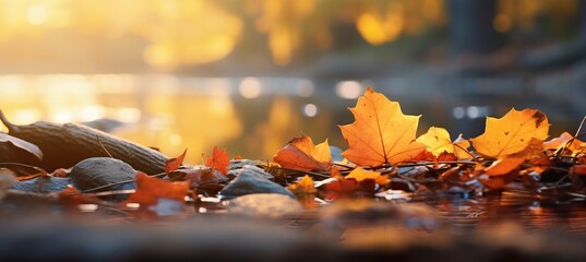 Lush fall backdrop with vibrant hues and textures