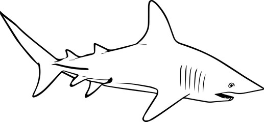 Grey Reef Shark icon 9