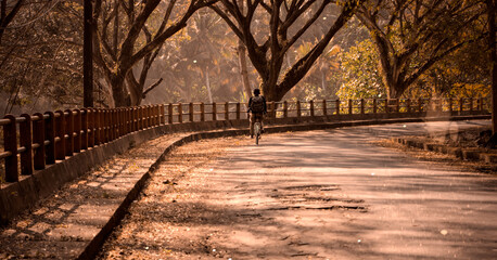 Obraz premium Street view in autumn