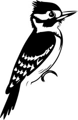 Hairy Woodpecker icon 1