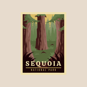 sequoia national park print poster vintage vector symbol illustration design.