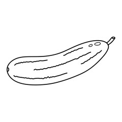 Cucumber flat icon. Fresh vegetables from the garden. Salad ingredient. Pickled cucumber. Hand drawn vector illustration.