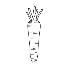 Carrot flat icon. Vegetable. farm product. Ingredient for meals. Hand drawn vector illustration.