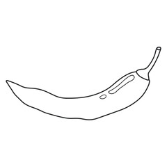 Chili pepper flat icon. Hot peppers. fresh vegetable. Farm ingredient for dishes. Hand drawn vector illustration.