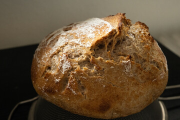 Homemade Fresh Sourdough Loaf of Bread with wheat Design Scoring