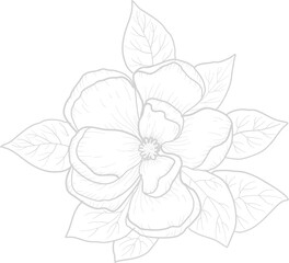 Flower Line Art