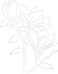Flower Line Art