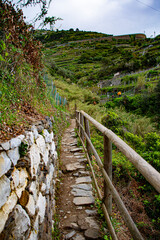 path in the mountains