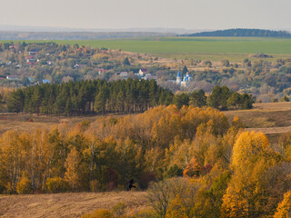 Beautiful autumn panoramic landscape in the forest. Autumn woods tree