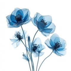 Blue flowers illustration, isolated in white background