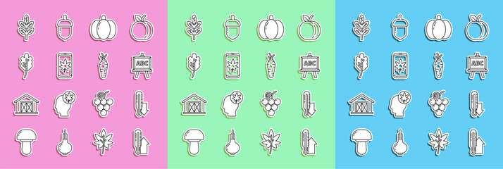 Set line Meteorology thermometer, Chalkboard, Pumpkin, Leaf on mobile phone, leaves, and Carrot icon. Vector