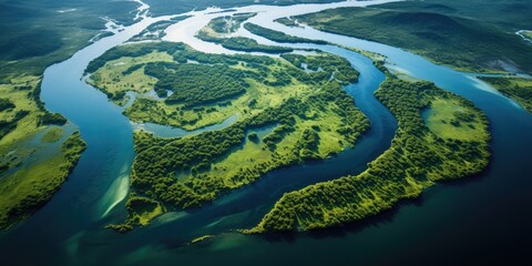 Aerial view of Amazon river - obrazy, fototapety, plakaty