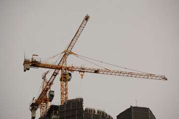 high rise building with construction mosquito crane on top