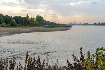 Der Rhein bei Porz-Langel, Köln