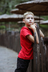 Portrait of a boy with blond hair leaning against a wooden fence.