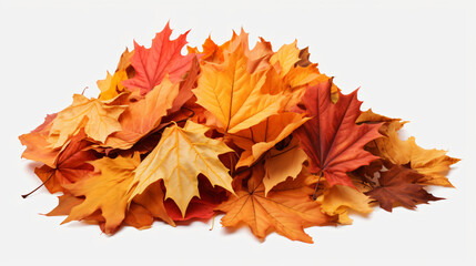 Naklejka na ściany i meble Pile of autumn leaves