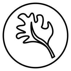 Obraz premium leaf