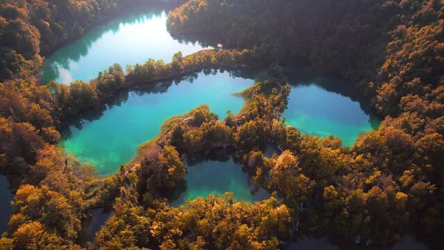 Mountain lake and dense forest landscape in autumn sunny morning. Clear fresh turquoise water in reservoir.