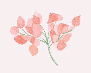 Vector isolated illustration of pink flowers. Greeting card. Physalis plant. 