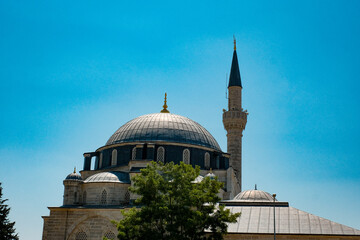 Fototapeta na wymiar Dramatic Contrast: Turkish Mosque Amidst Nature