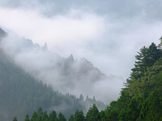 霧に隠された山