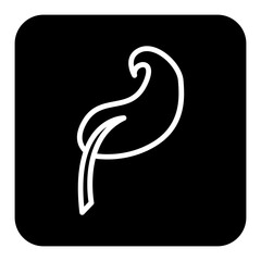 Obraz premium leaf