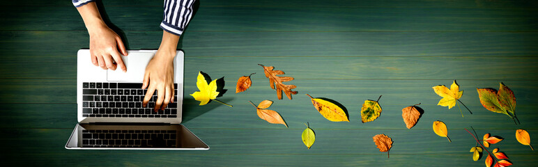 Fototapeta na wymiar Autumn leaves with person using a laptop computer from above