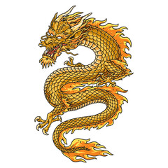 Obraz premium Eastern dragon monster colorful emblem