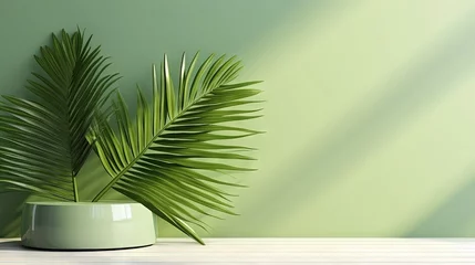 Foto op Plexiglas Schoonheidssalon Modern, minimal blank matte paint texture green wall with tropical tree in sunlight, leaf shadow for luxury fresh organic cosmetic, skin care, beauty treatment summer product display background 3D