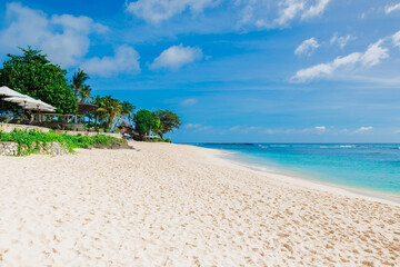 Luxury beach. Scenic coastline with coconut palms at tropical island.