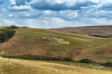 Obraz premium Rural landscape in Val d Orcia, Tuscany, at summer
