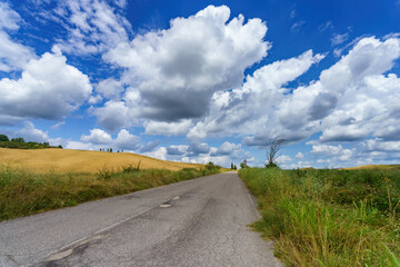 Rural landscape in Val d Orcia, Tuscany, at summer