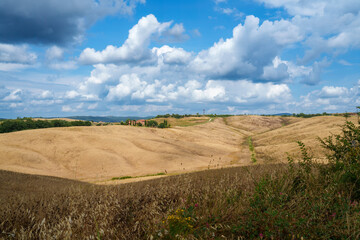 Fototapeta premium Rural landscape in Val d Orcia, Tuscany, at summer