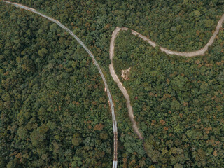 fotografia cenital de una riel de tren y un camino de autos cercanos en medio de un bosque de...