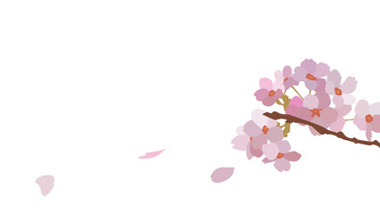 桜