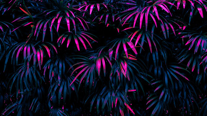 abstract background, tropical palm leaf, neon glow color toned
