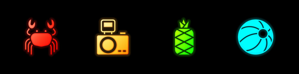 Set Crab, Photo camera with flash, Pineapple and Beach ball icon. Vector