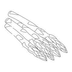 Hand-drawn black sketch of an Asparagus vegetable. Doodle-style icon. Vector editable stroke.