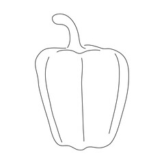 Pepper doodle icon. Hand drawn black sketch. Vector editable stroke.